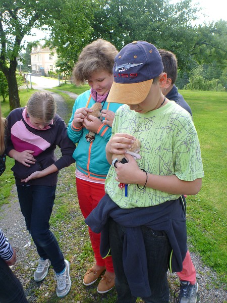 Poslední hodina v 5. roč. (26.06.2014)