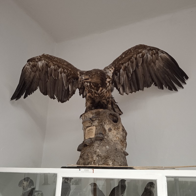 Ptačí svět - program pro 1. roč. (12.03.2026)