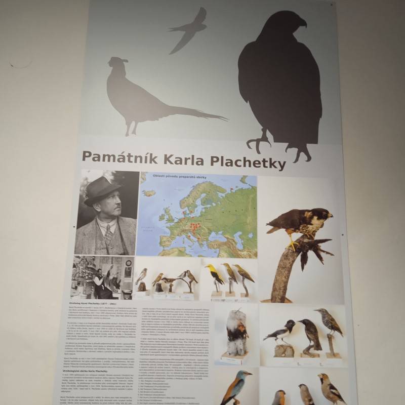 Ptačí svět - program pro 1. roč. (12.03.2026)