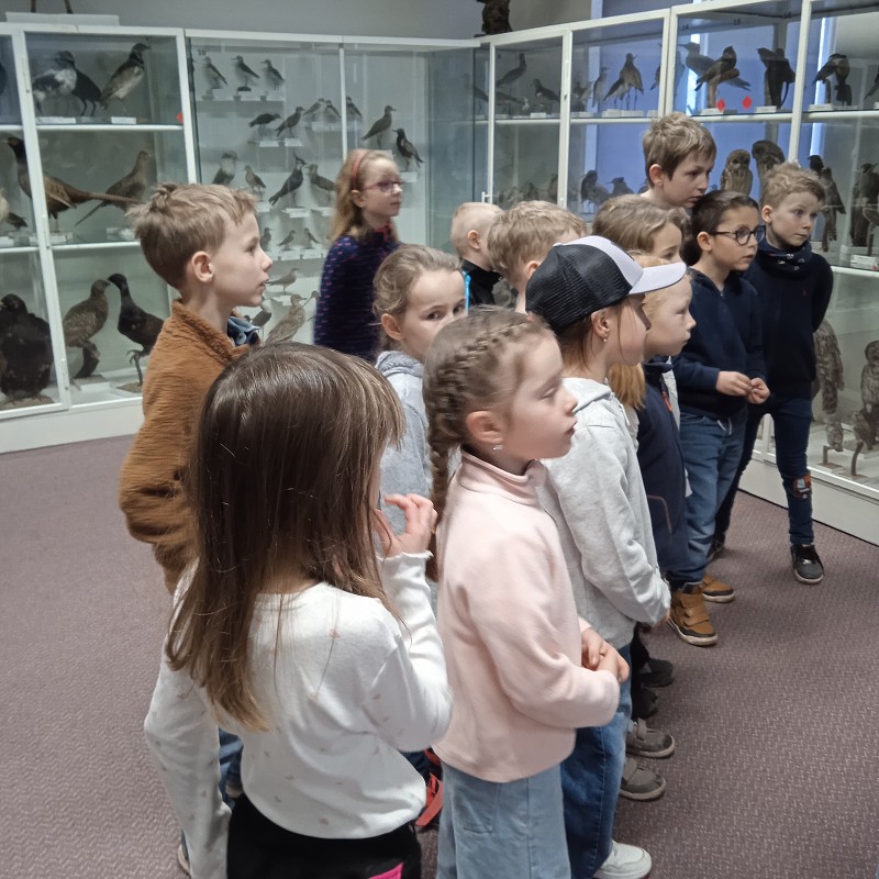 Ptačí svět - program pro 1. roč. (12.03.2026)