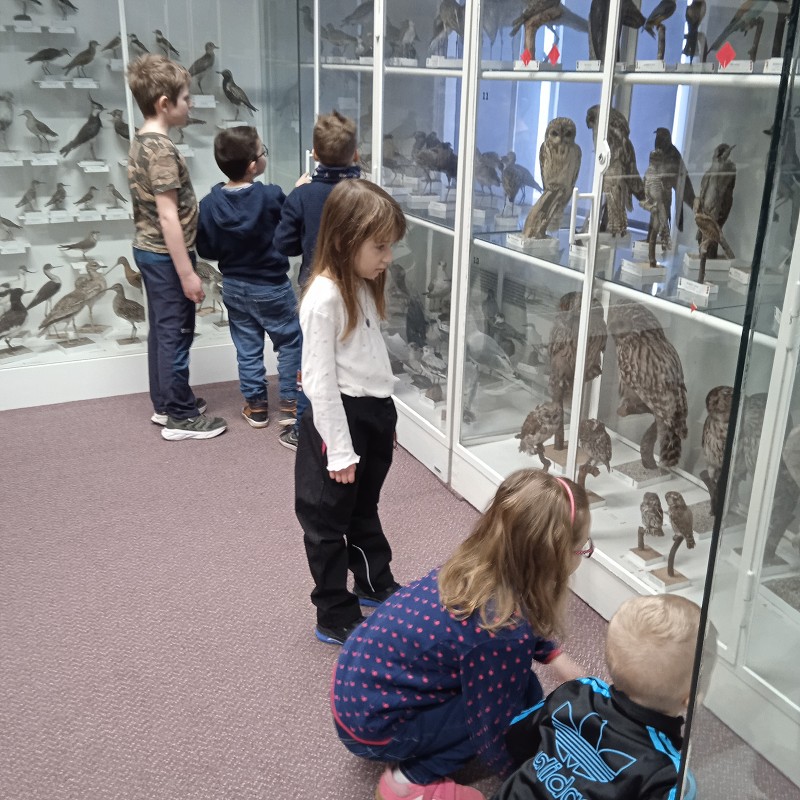 Ptačí svět - program pro 1. roč. (12.03.2026)