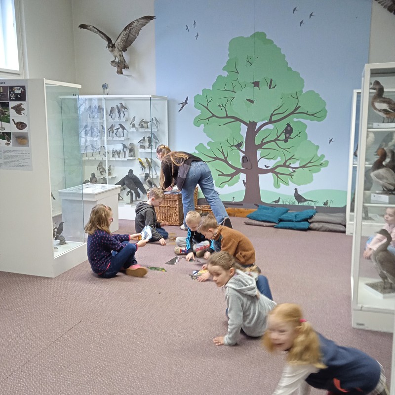 Ptačí svět - program pro 1. roč. (12.03.2026)