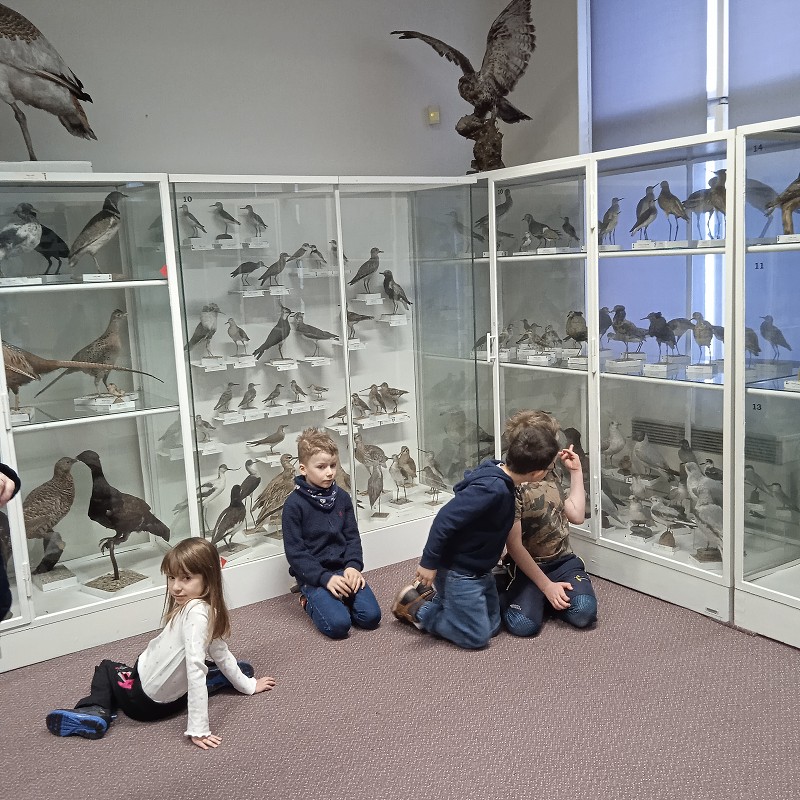 Ptačí svět - program pro 1. roč. (12.03.2026)