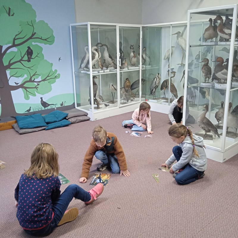 Ptačí svět - program pro 1. roč. (12.03.2026)