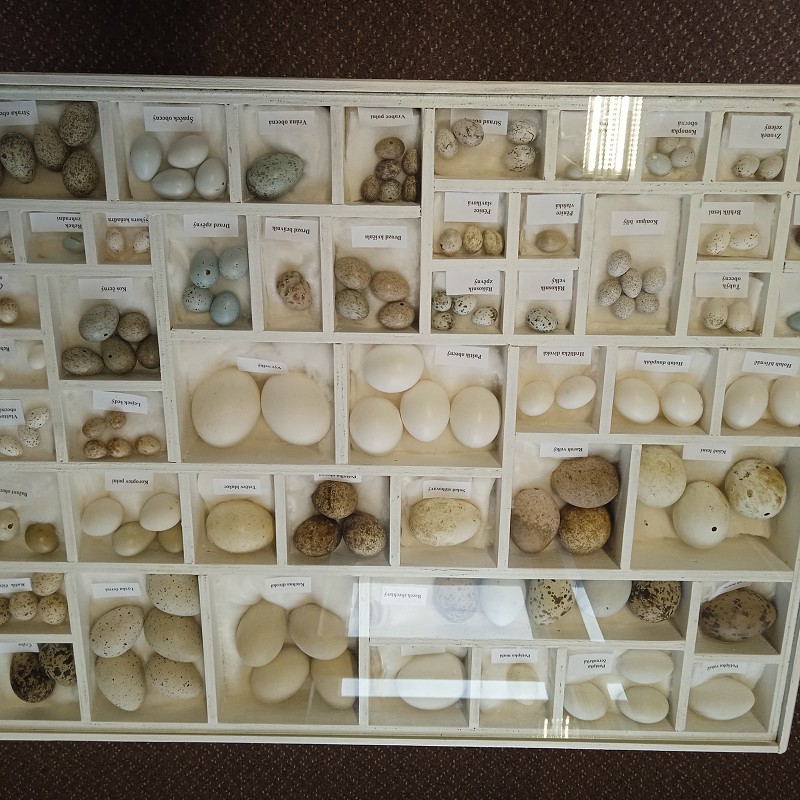 Ptačí svět - program pro 1. roč. (12.03.2026)