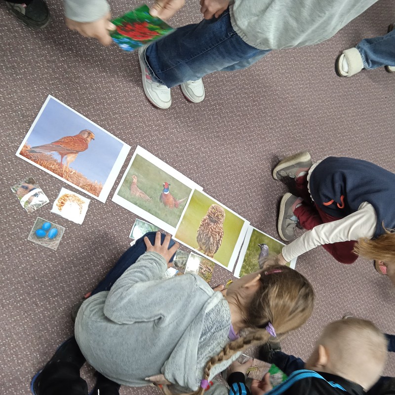 Ptačí svět - program pro 1. roč. (12.03.2026)