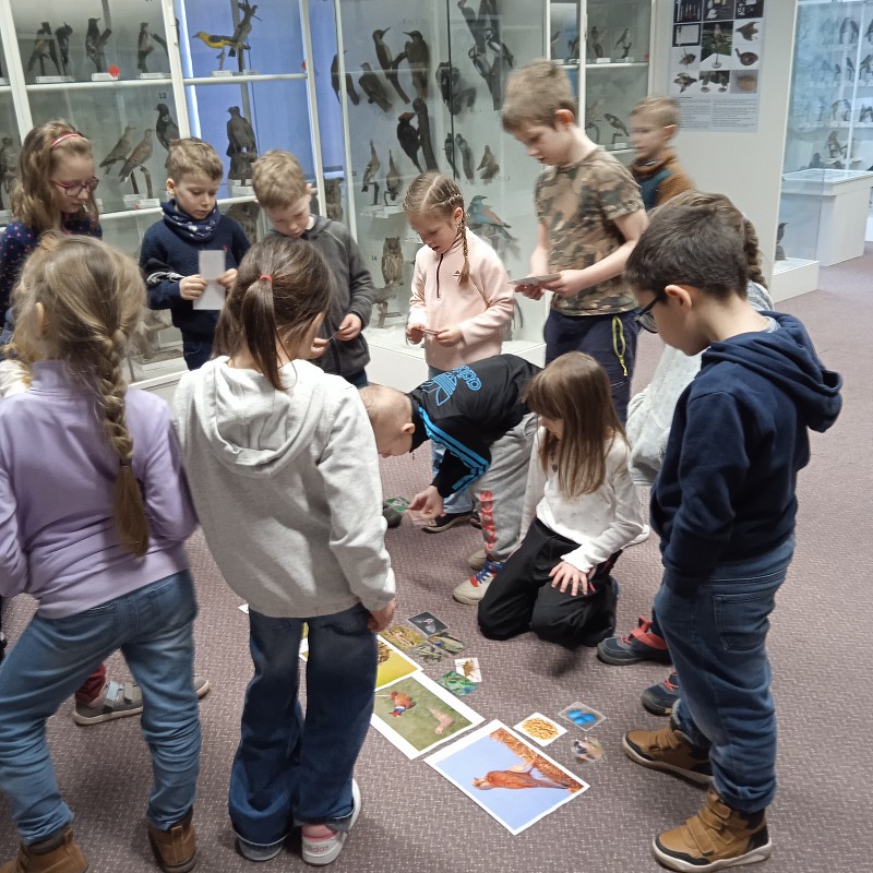 Ptačí svět - program pro 1. roč. (12.03.2026)