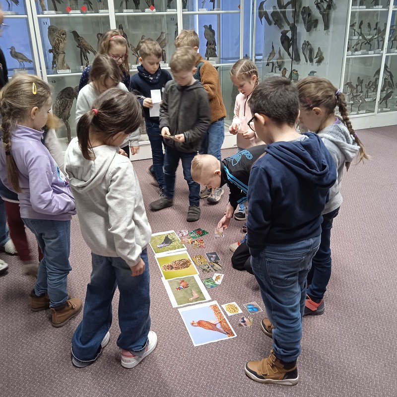 Ptačí svět - program pro 1. roč. (12.03.2026)