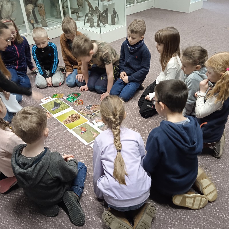 Ptačí svět - program pro 1. roč. (12.03.2026)