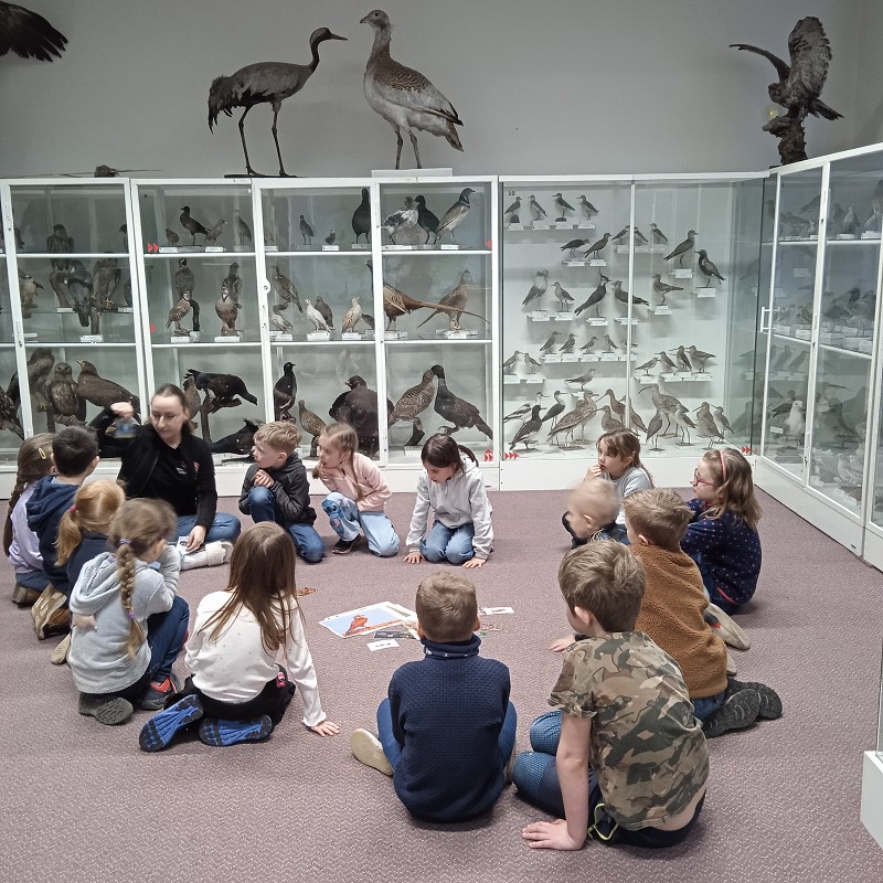 Ptačí svět - program pro 1. roč. (12.03.2026)