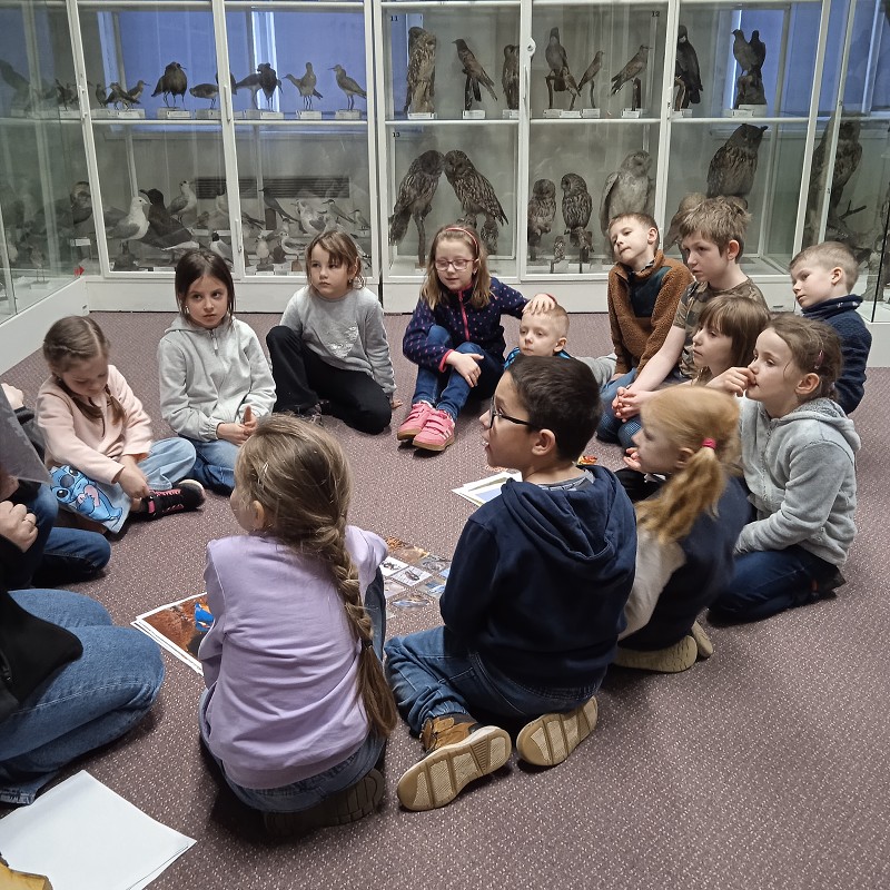 Ptačí svět - program pro 1. roč. (12.03.2026)