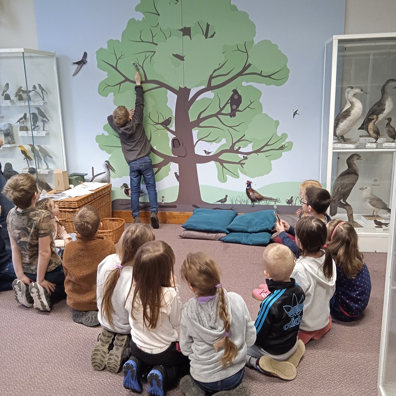 Ptačí svět - program pro 1. roč. (12.03.2026)