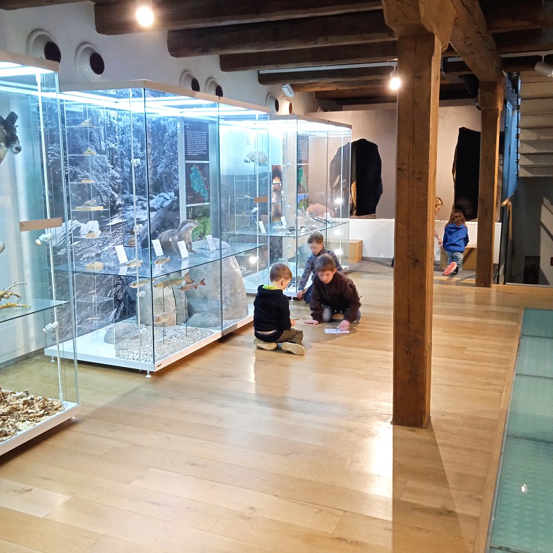 Sýpka Rokytnice v Orl. h. 1. roč. (31.03.2026)