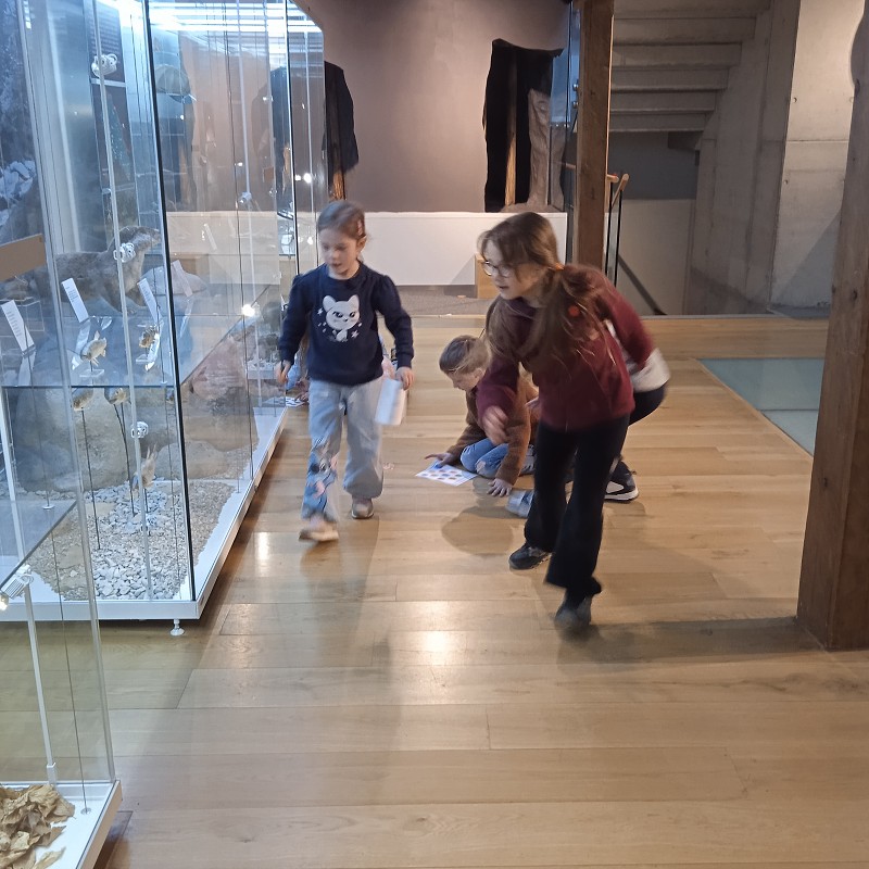 Sýpka Rokytnice v Orl. h. 1. roč. (31.03.2026)