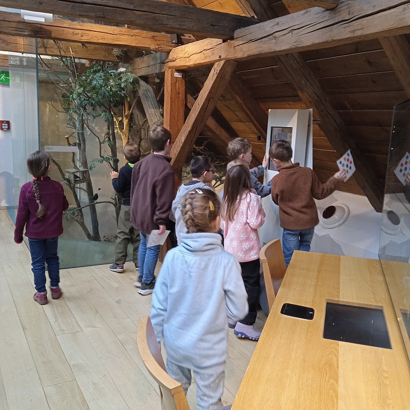 Sýpka Rokytnice v Orl. h. 1. roč. (31.03.2026)