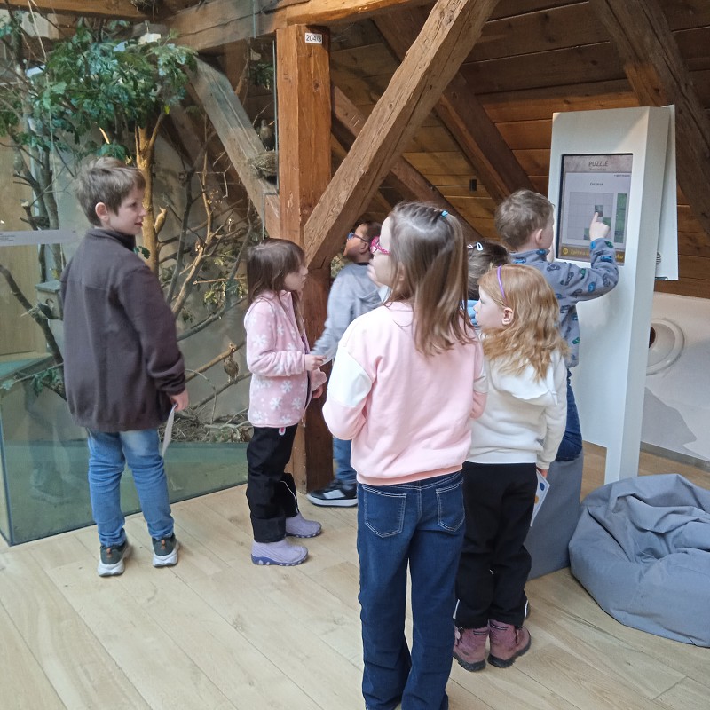 Sýpka Rokytnice v Orl. h. 1. roč. (31.03.2026)